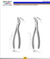 Plants: image 1 0f 4 thumb